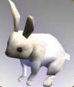 Lunar Rabbit