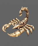 Bone Scorpion