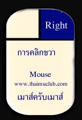 mouse